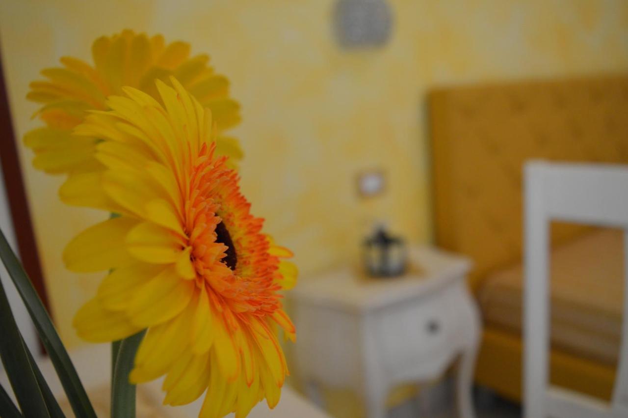 Tally B&B Salve Exteriér fotografie